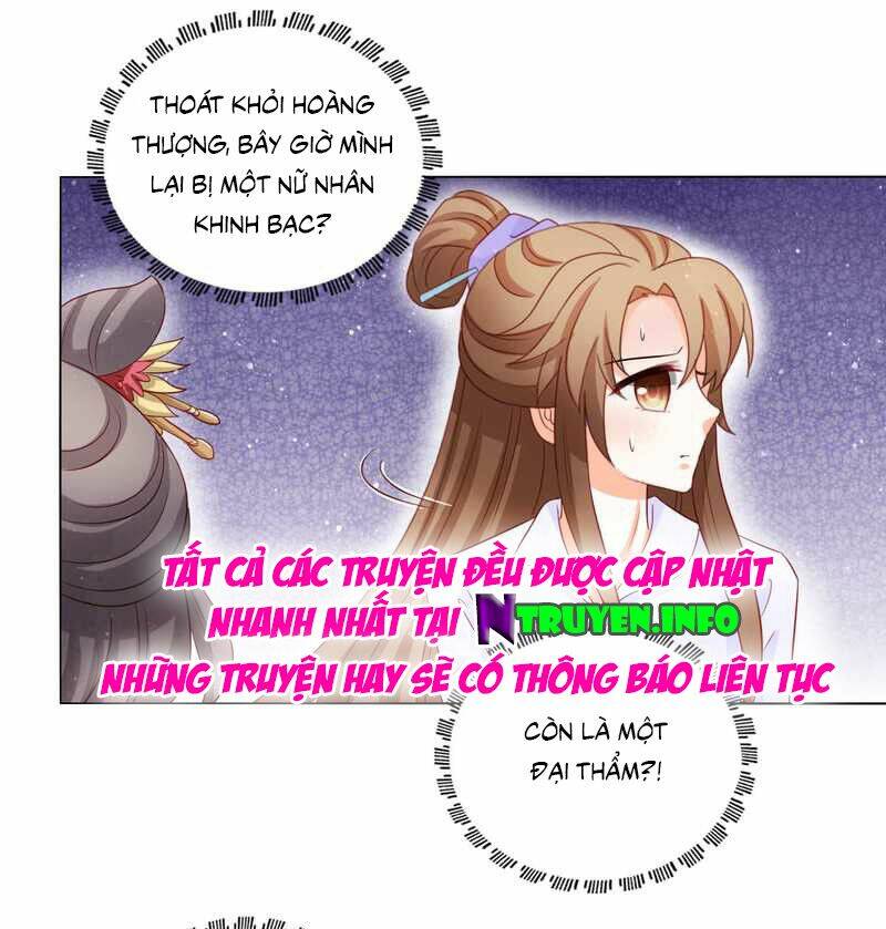 Nam Phi Nữ Tướng: Chapter 49