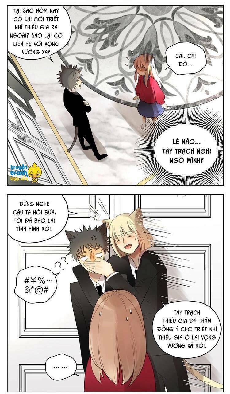 Cứu Mạng! Loài Mèo Thống Trị Thế Giới Rồi!: Chapter 30