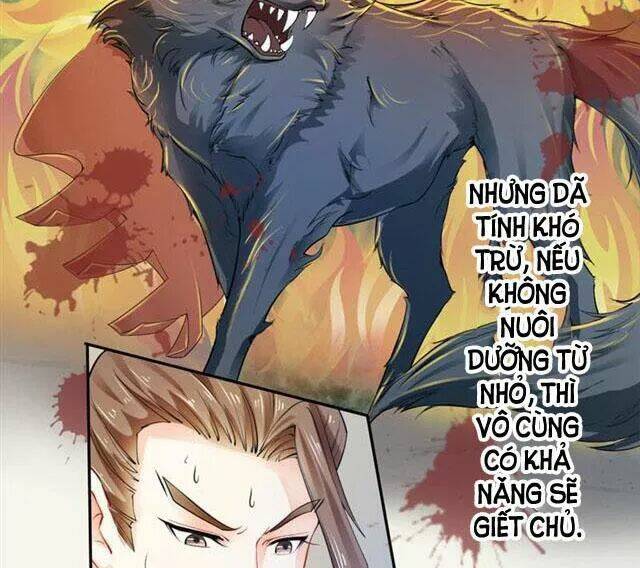 Tuyệt Thế Luyện Đan Sư: Chapter 17