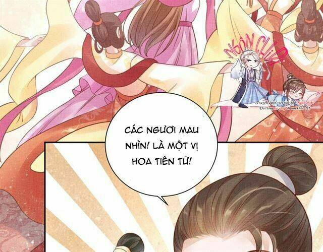 Thịnh Sủng Y Phi Chi Dao Quan Truyện: Chapter 71