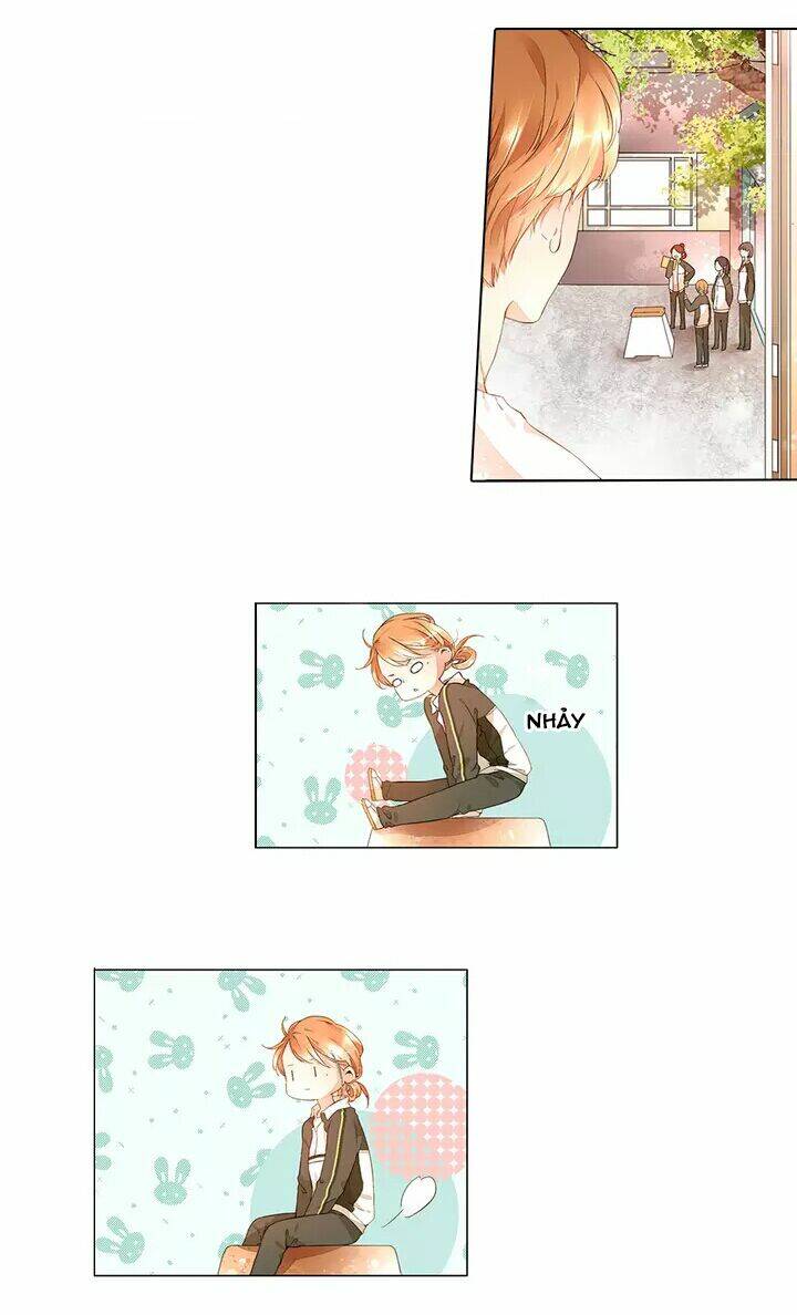 Tình Yêu Là Màu Hoa Anh Thảo: Chapter 16.2