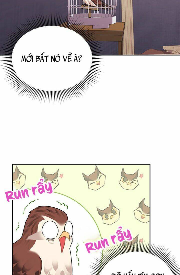 Công Chúa Của Loài Chim: Chapter 23