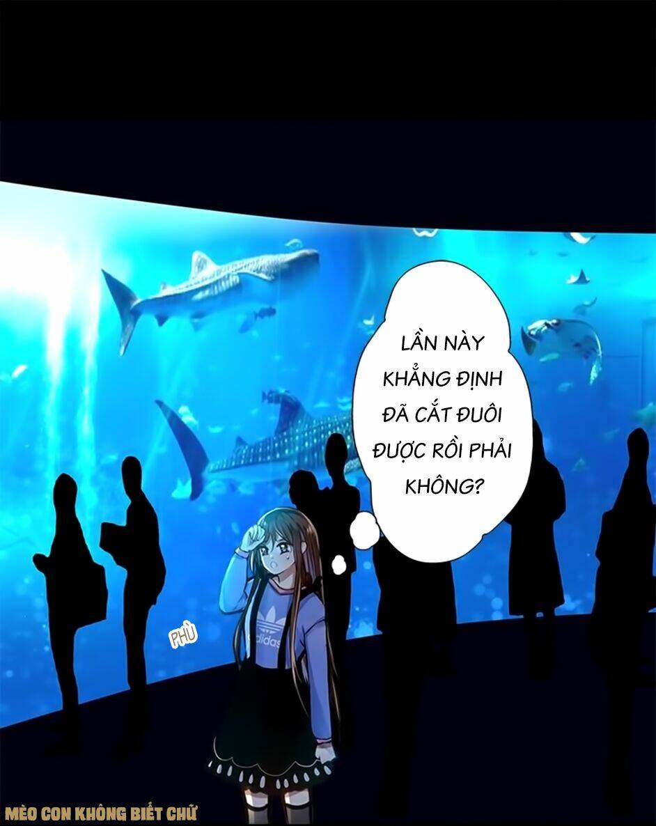 Không Có Ssr Làm Sao Để Yêu: Chapter 6