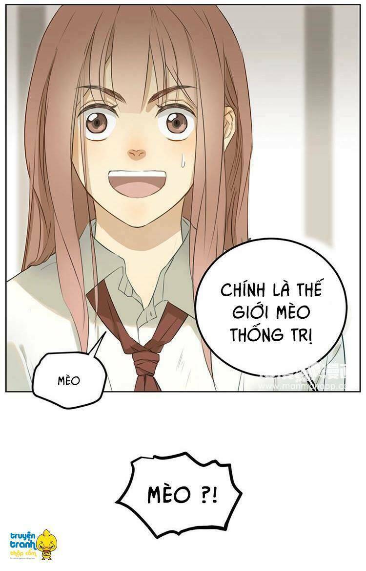 Cứu Mạng! Loài Mèo Thống Trị Thế Giới Rồi!: Chapter 2