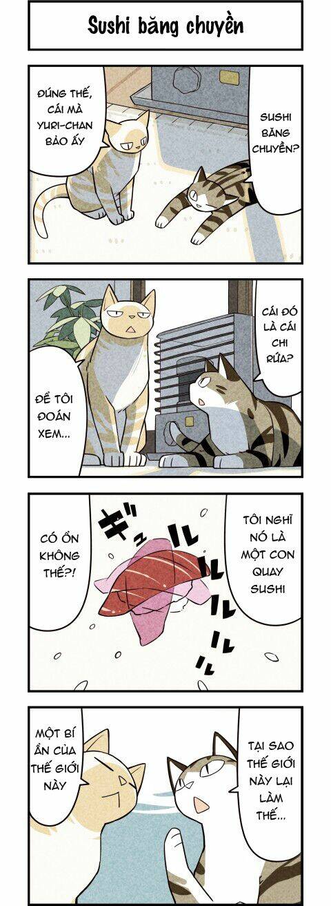 We Are Cat: Chapter 18