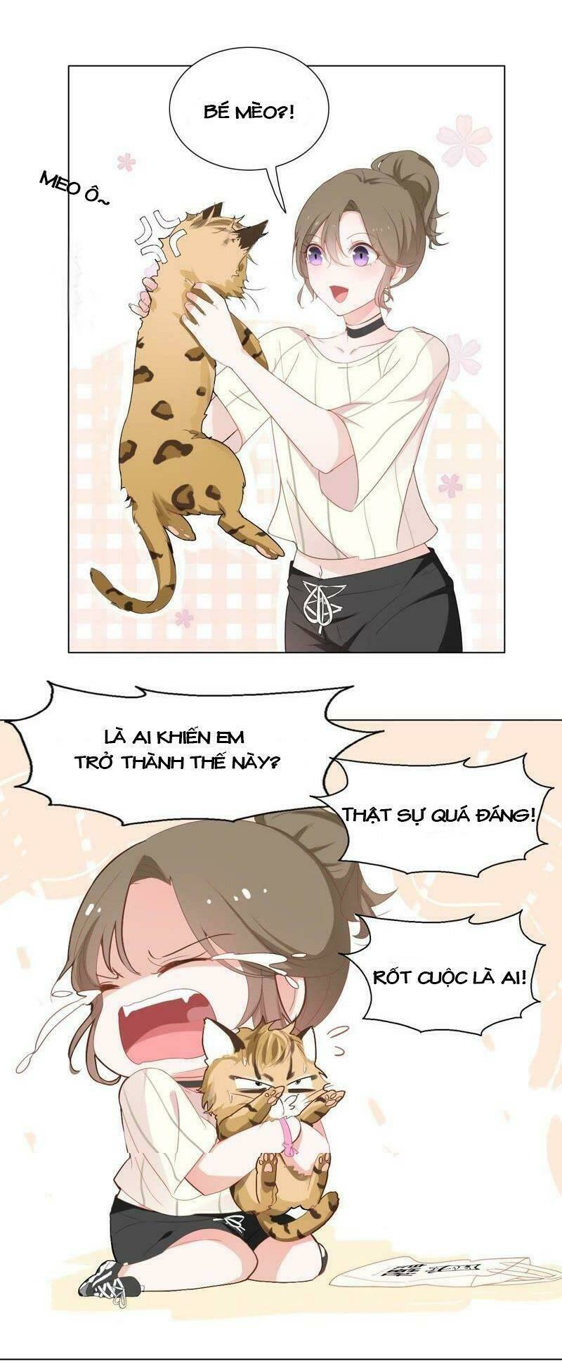 Thập Nhị Hắc Miêu: Chapter 1