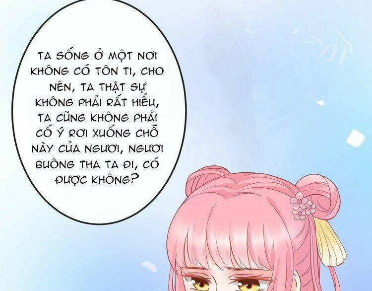 Báo Cáo Vương Gia, Vương Phi Là Một Con Mèo: Chapter 4