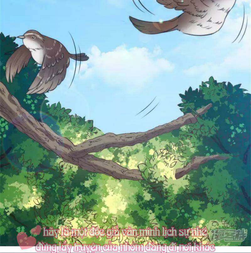 Tổng Tài, Tránh Xa Tôi Ra: Chapter 35