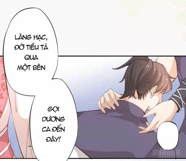 Tuyệt Thế Luyện Đan Sư: Chapter 28