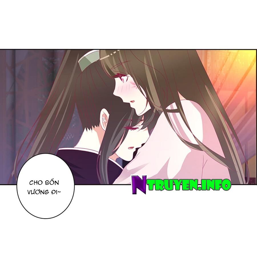 Thông Linh Phi: Chapter 501