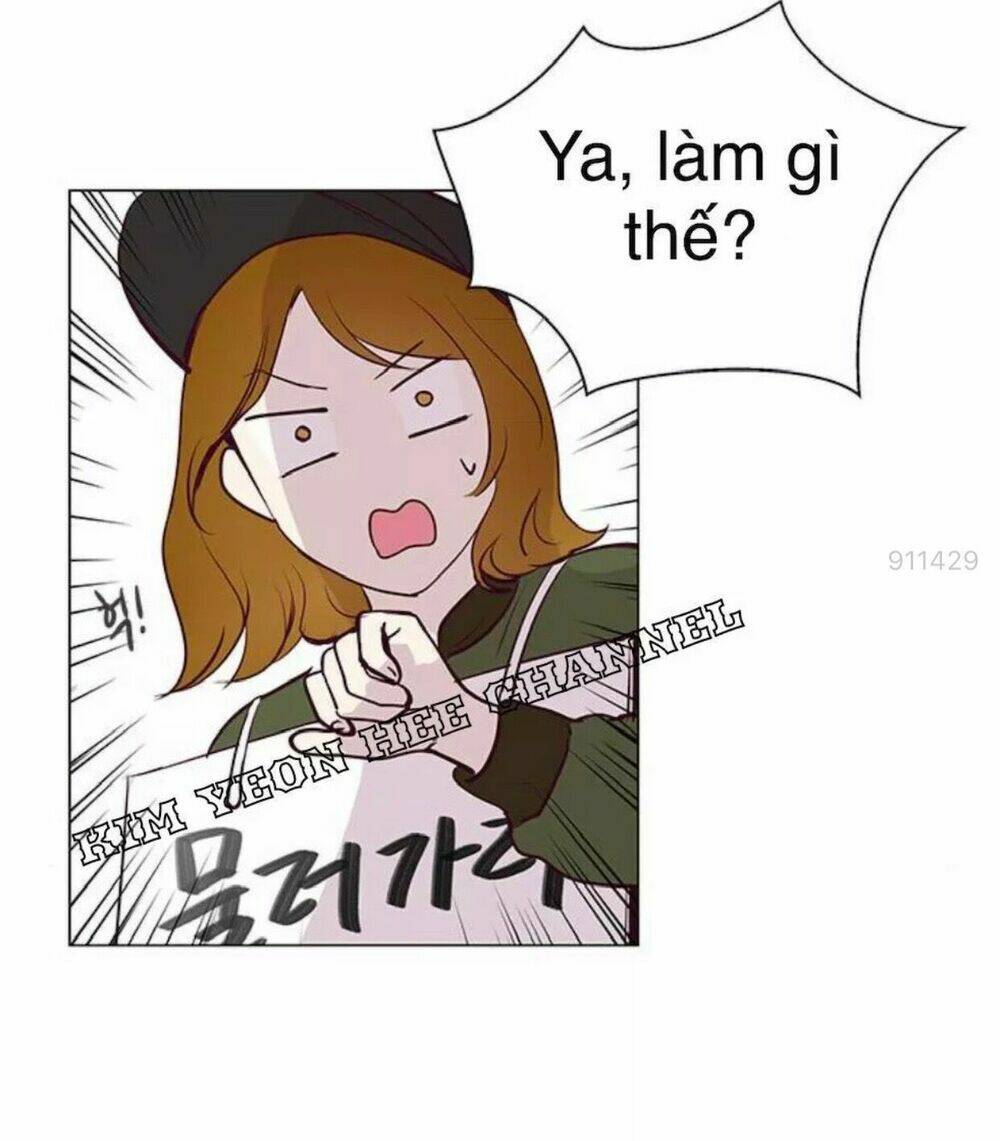 Tôi Kết Hôn Cùng Antifan: Chapter 11