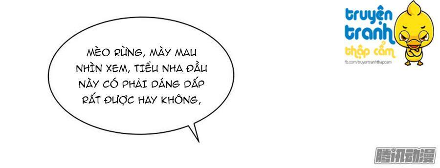 Cường Sủng Hào Môn Tiểu Manh Thê: Chapter 18