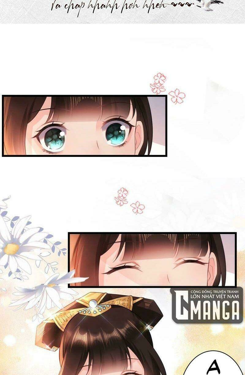 Quận Chúa Vững Vàng, Thiết Lập Nhân Vật Không Thể Vỡ: Chapter 62