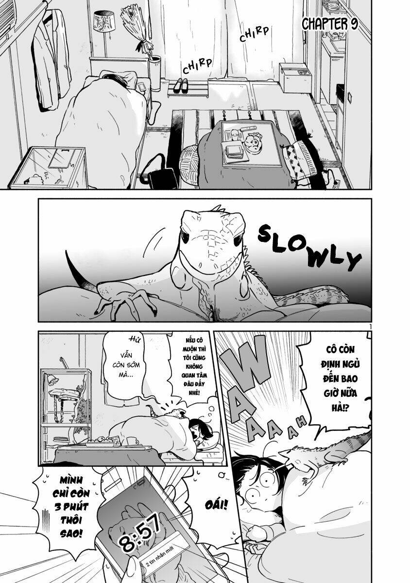 Majo-Senpai Nippou: Chapter 9