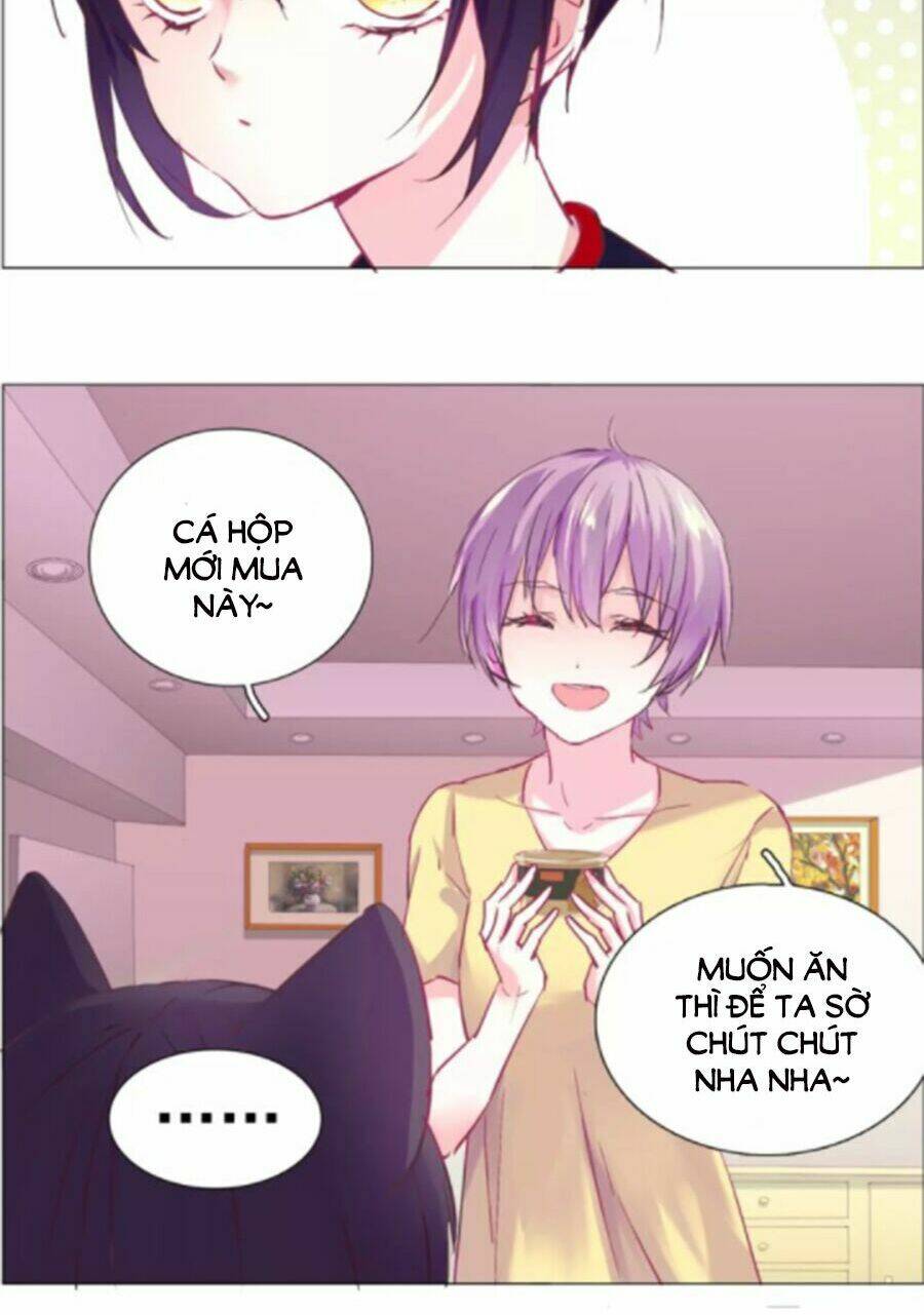 Đừng Nghịch, Ta Chỉ Muốn Yên Tĩnh: Chapter 34