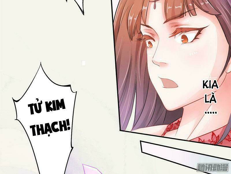 Tuyệt Thế Luyện Đan Sư: Chapter 6