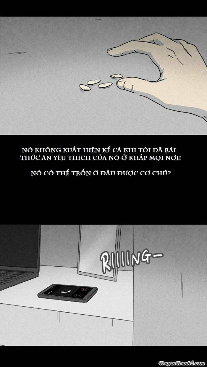 Những Câu Chuyện Bất Thường: Chapter 104