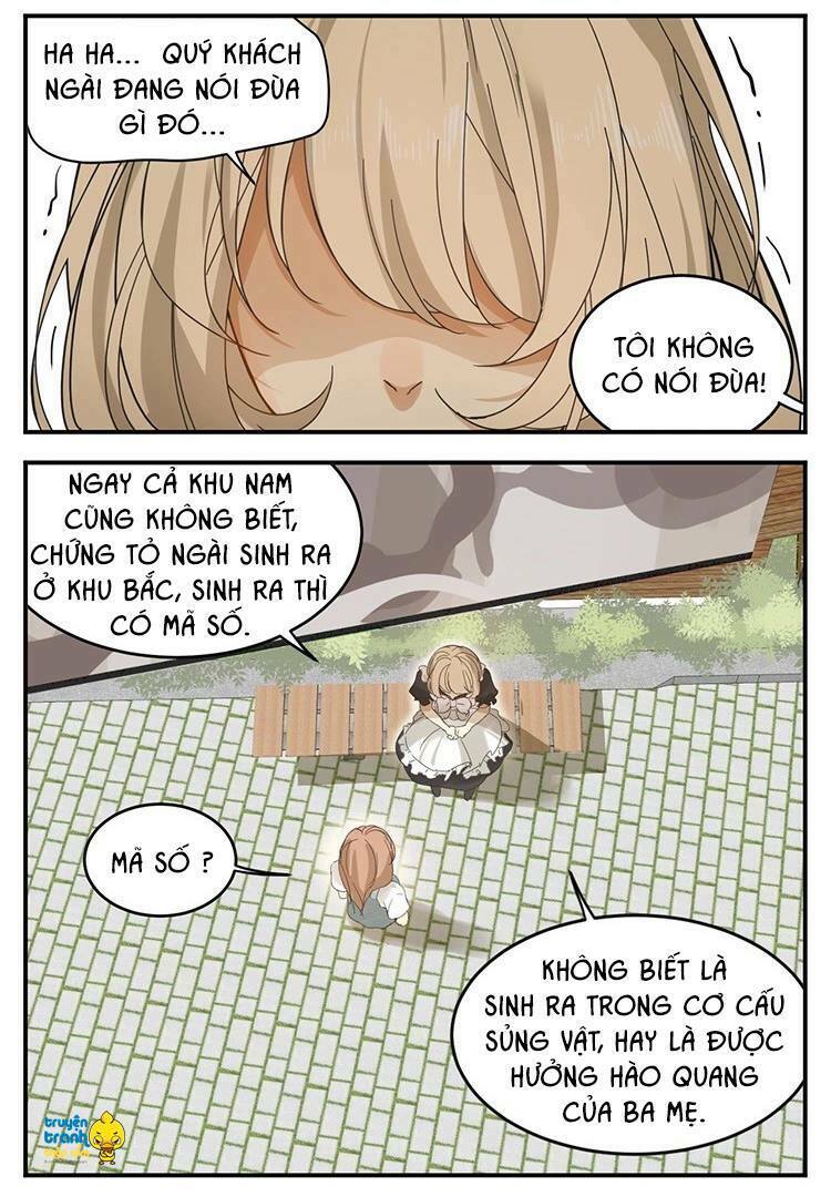 Cứu mạng ! Loài mèo thống trị thế giới rồi !: Chapter 12