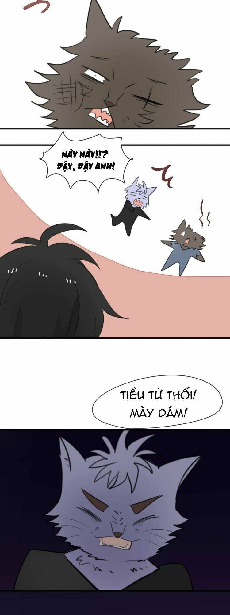 Tiểu Miêu Và Hắc Diệu Thạch: Chapter 8