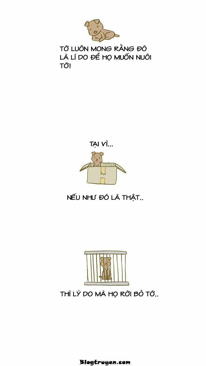 My Young Cat And My Old Dog: Chapter 13