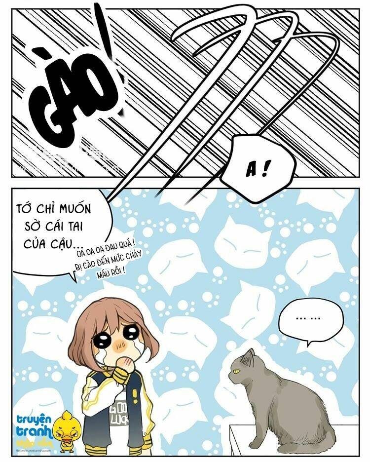 Cứu Mạng! Loài Mèo Thống Trị Thế Giới Rồi!: Chapter 25
