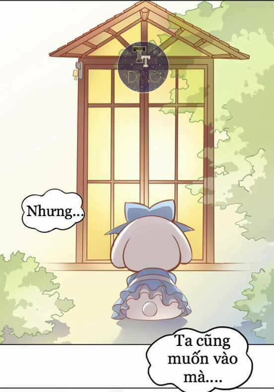 Dưới Móng Vuốt Mèo: Chapter 8
