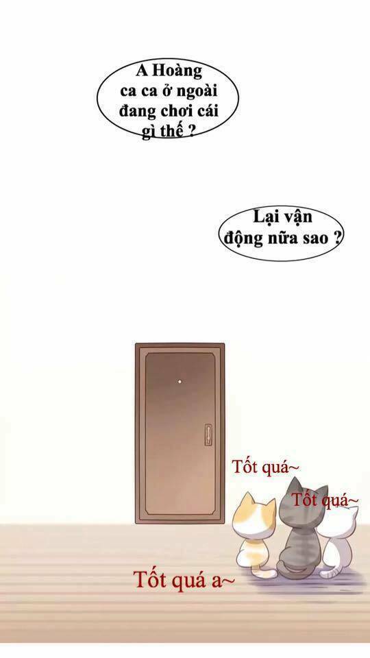 Dưới Móng Vuốt Mèo: Chapter 17