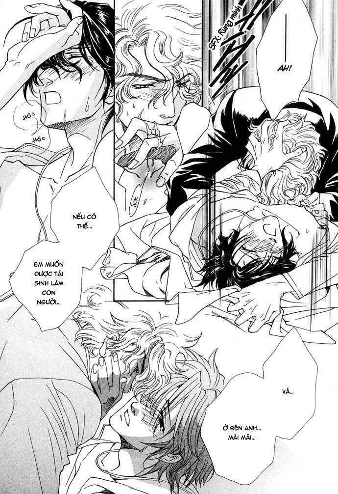 Innocent Bird: Chapter 12