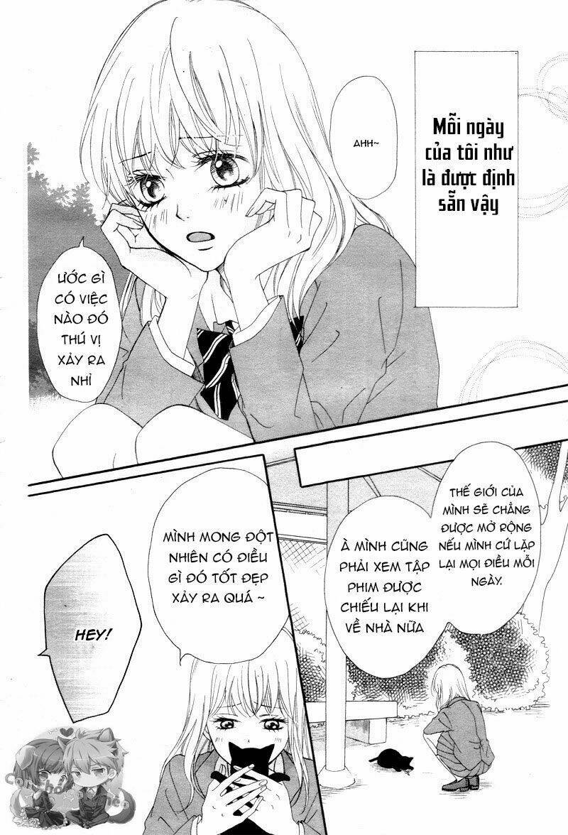 Koi Ni Naranai Wake Ga Nai: Chapter 1
