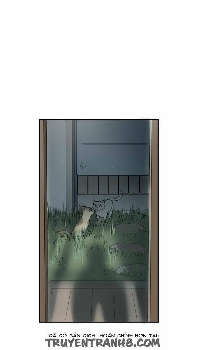 Transparent Cohabitation: Chapter 10