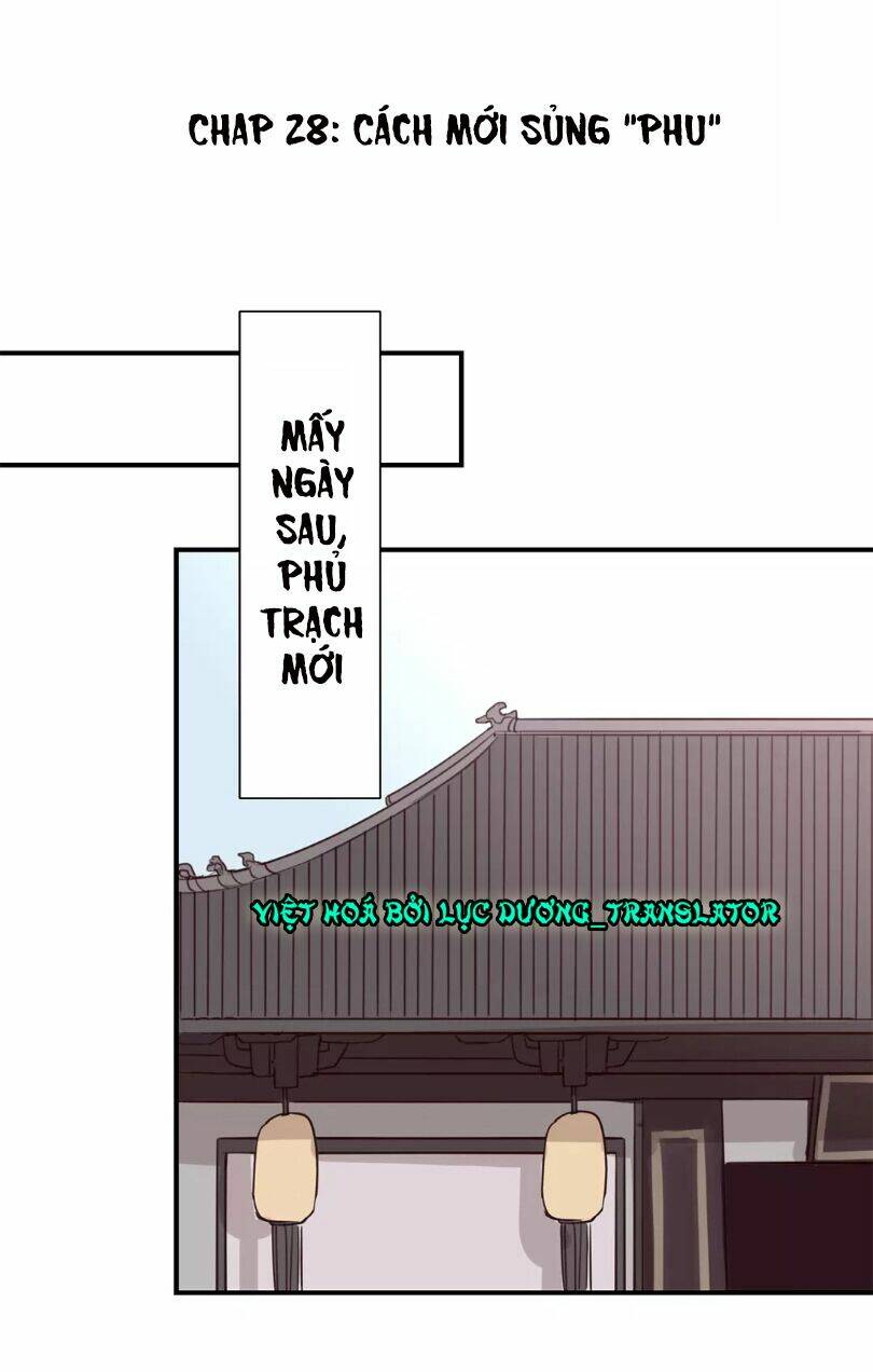 Chỉ Phu Vi Thê: Chapter 28