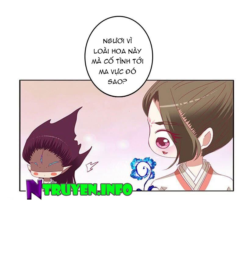 Thông Linh Phi: Chapter 405