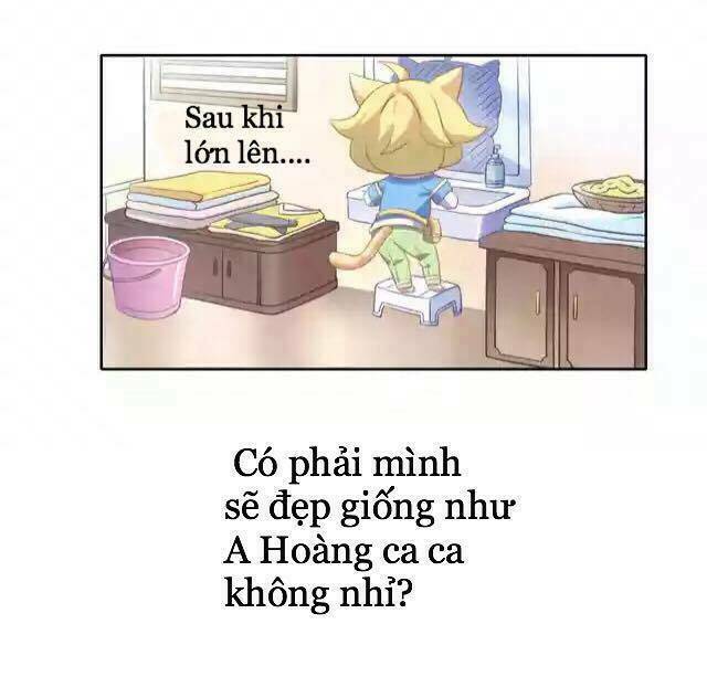 Dưới Móng Vuốt Mèo: Chapter 11