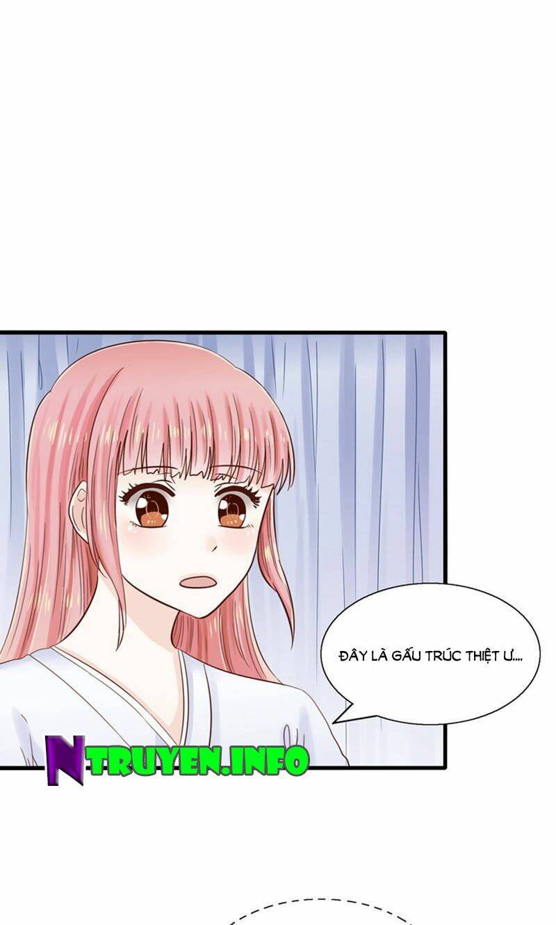Tôi Bị Gấu Trúc Nhìn Trúng Rồi: Chapter 14