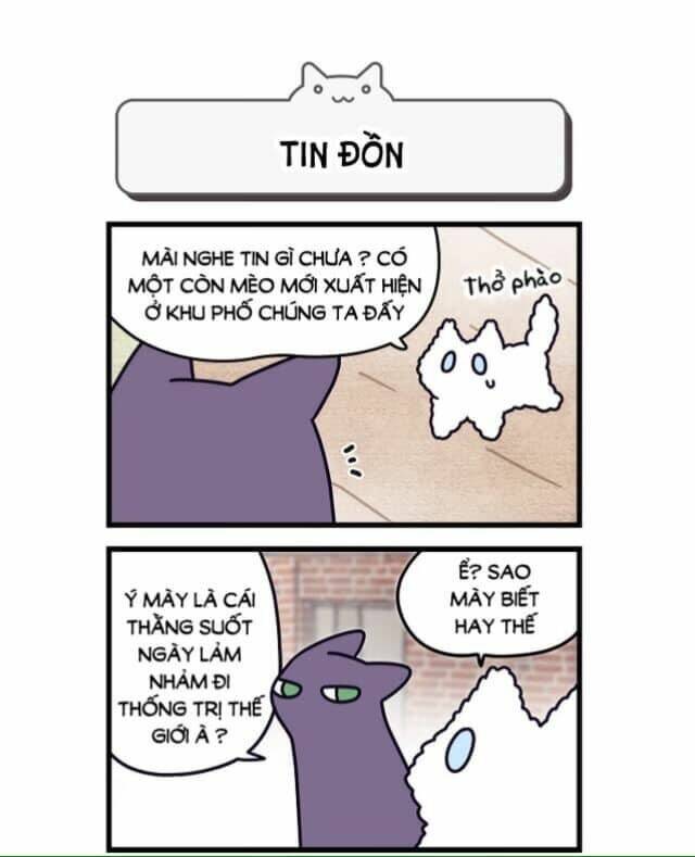 Khi Loài Mèo Làm Bá Chủ Thế Giới: Chapter 2
