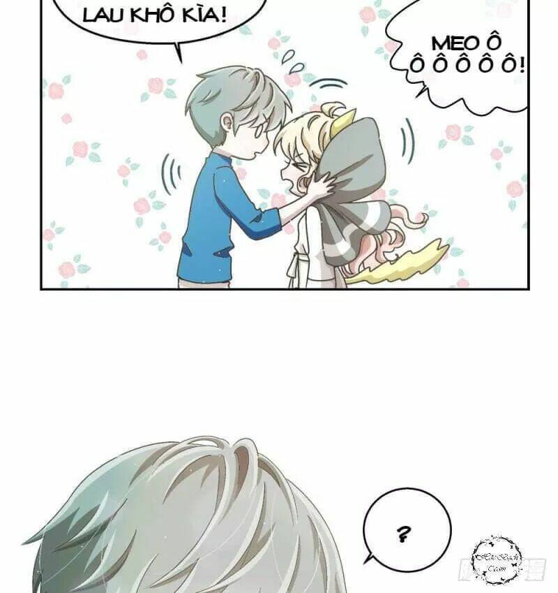 Đối Với Cậu, Tớ Đều Nghe Theo: Chapter 6