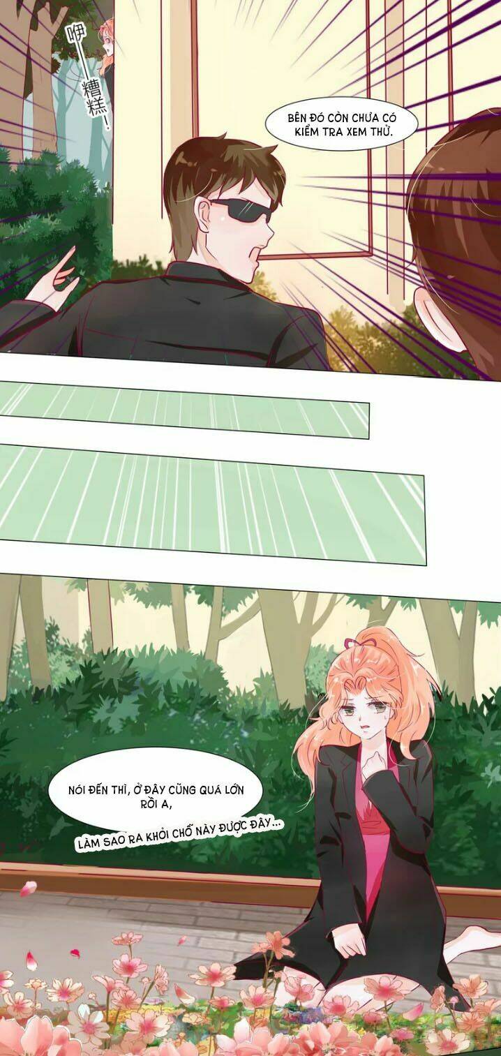 Tổng Tài Yêu Hai Con Người Của Tôi: Chapter 5