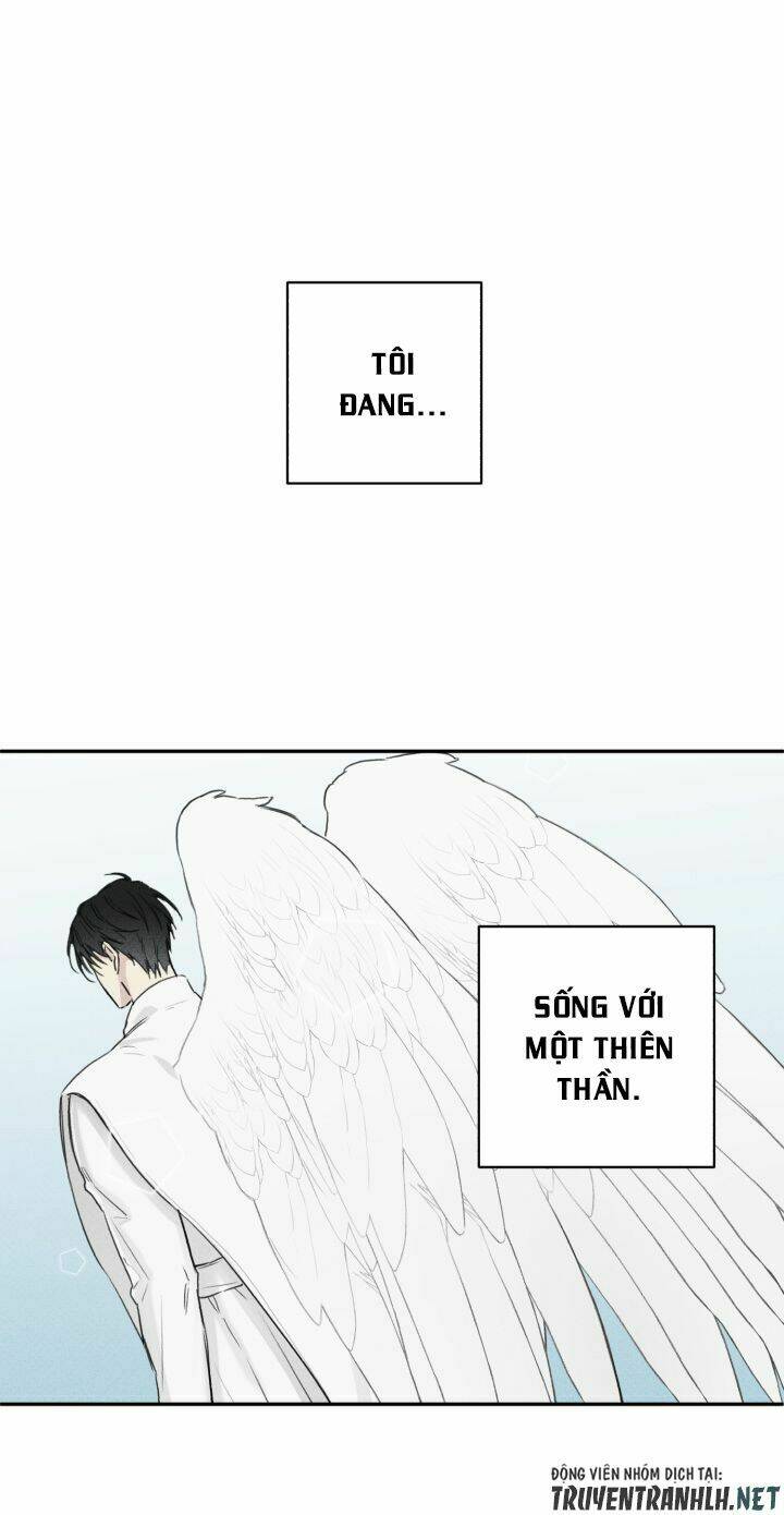 Angel Buddy: Chapter 8