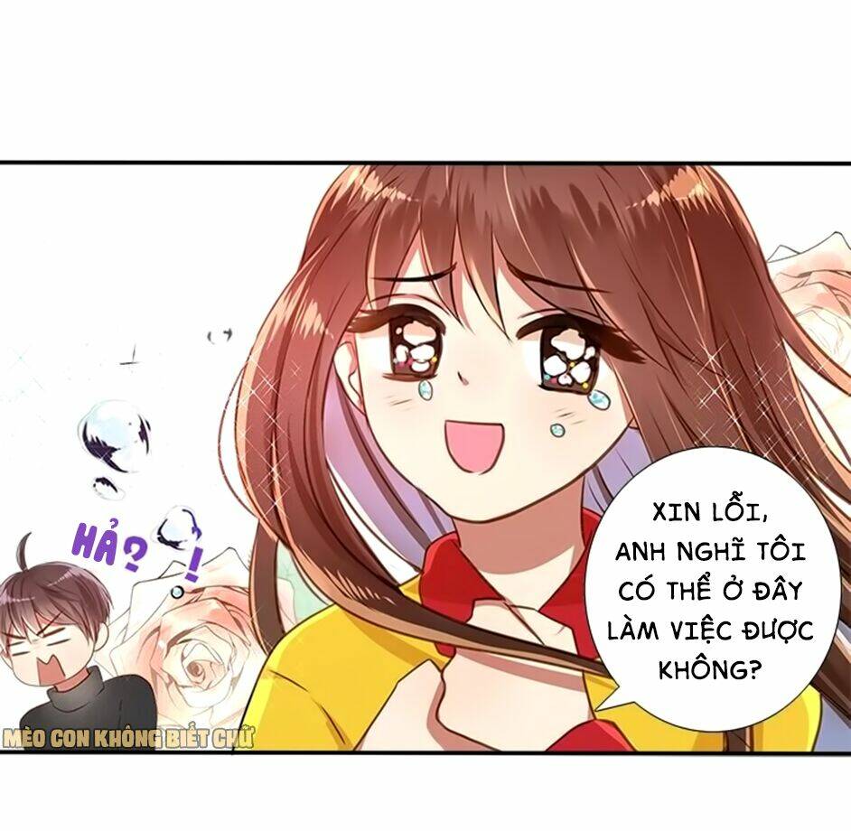 Không Có Ssr Làm Sao Để Yêu: Chapter 10