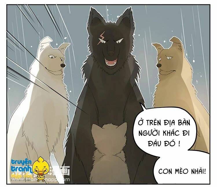 Cứu Mạng! Loài Mèo Thống Trị Thế Giới Rồi!: Chapter 25