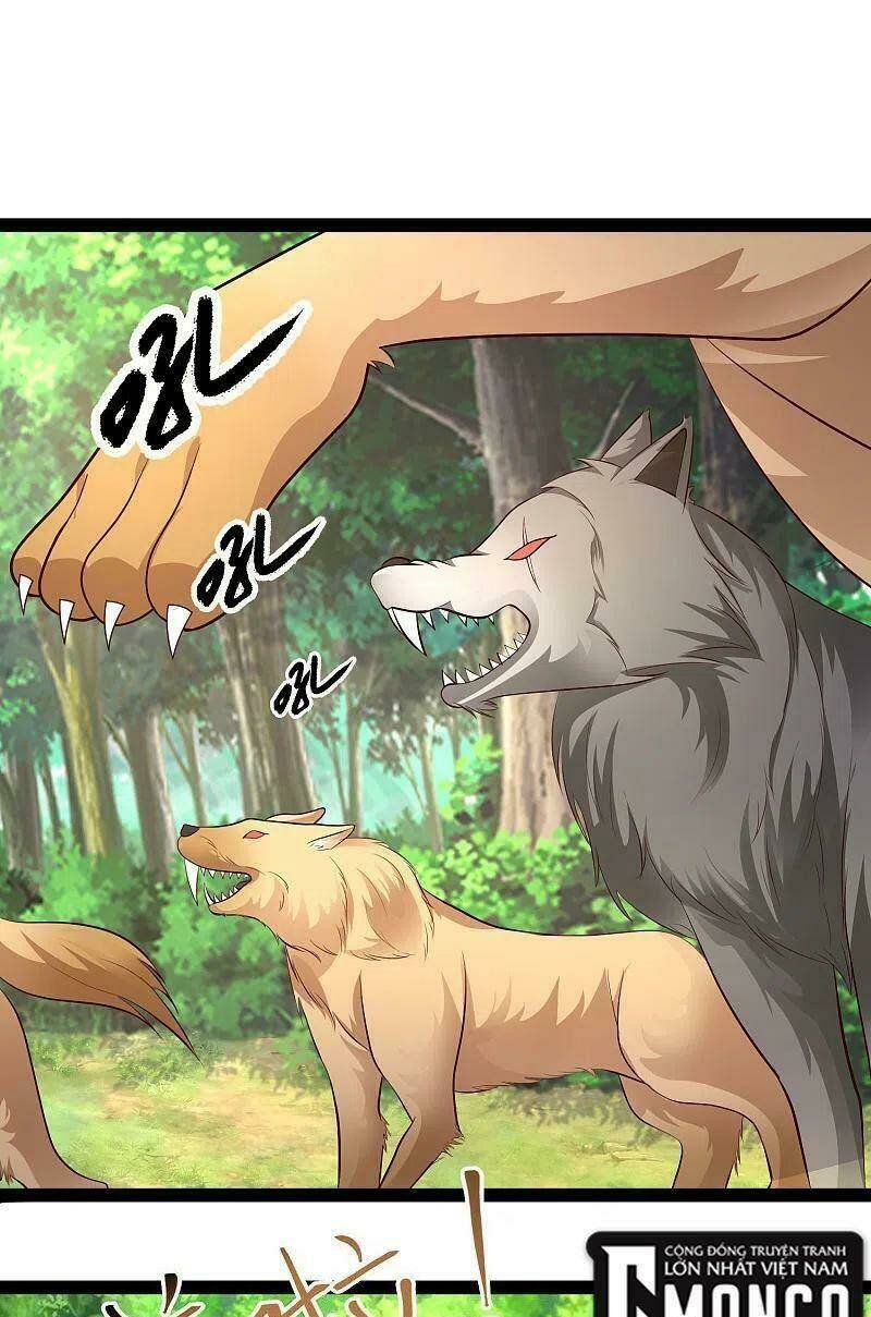 Tối Cường Vận Đào Hoa: Chapter 258