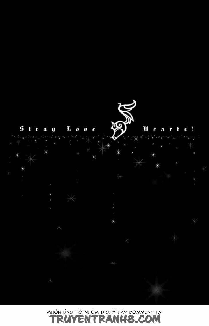 S.L.H (Stray Love Hearts): Chapter 20