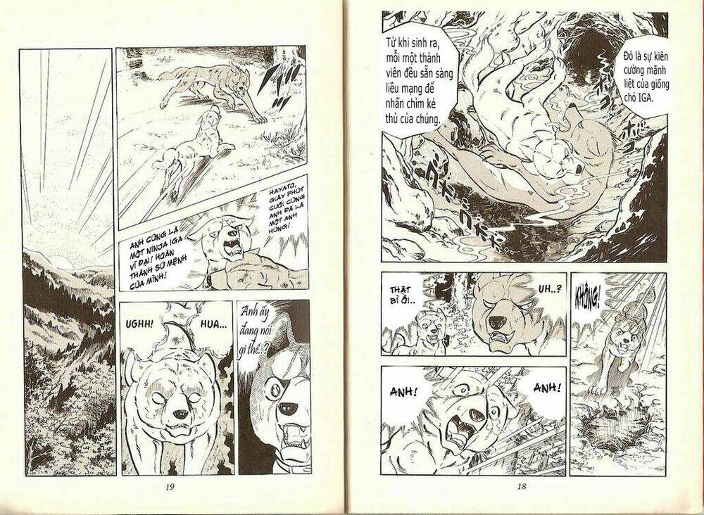 Chú Chó Có Nghĩa - Ginga Nagareboshi Gin: Chapter 19