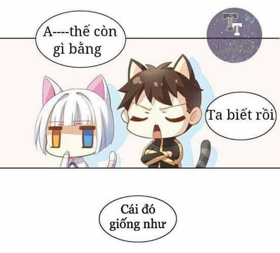 Dưới Móng Vuốt Mèo: Chapter 3