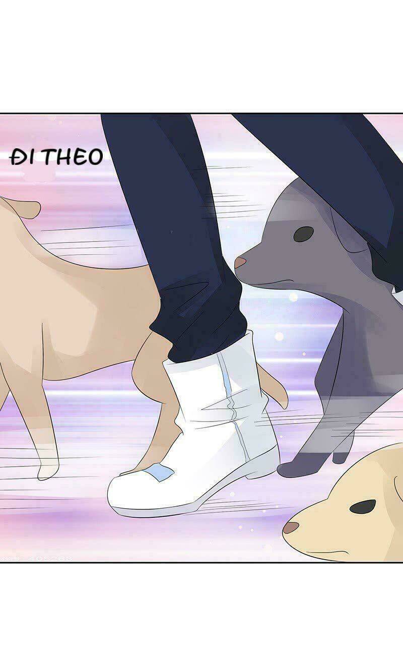 Băng Sơn Học Trưởng Không Được Chọc: Chapter 12