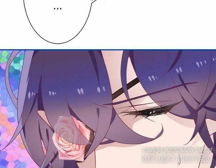 Thuần Trắng Vận Mệnh Chi Luân: Chapter 4