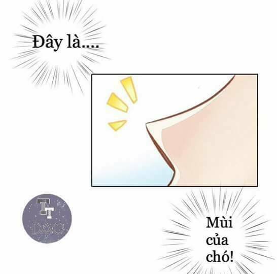 Dưới Móng Vuốt Mèo: Chapter 8