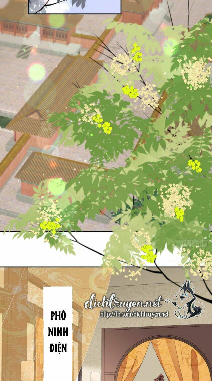 Tang Lạc Túy Tại Nam Phong Lý: Chapter 72