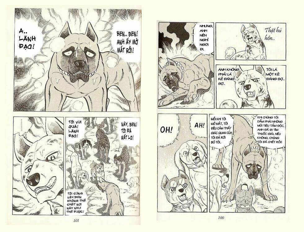 Chú Chó Có Nghĩa - Ginga Nagareboshi Gin: Chapter 19