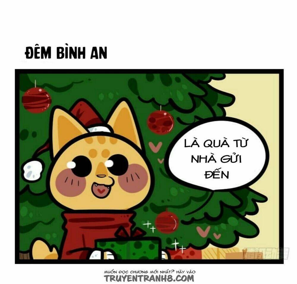 Đời Không Như Mình Tưởng: Chapter 13